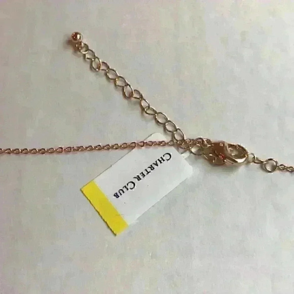 CharterClub new Tortoise Pendant Necklace - Picture 6 of 8